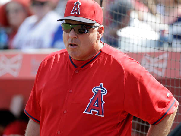 Mike Scioscia has been in charge of the Angels since the 2000 season. (Morry Gash/AP)